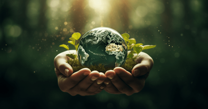 Sustainable Living: The Rise of Eco-Friendly and Reclaimed Furniture